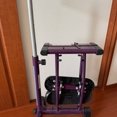 レッグマジックXの画像