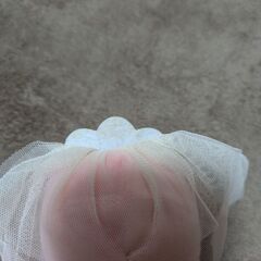 五等分の花嫁 ぬいぐるみの画像