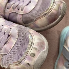 ラブラッシュとノーブランド20cmの画像