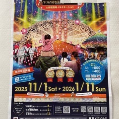 東京メガイルミ　特別無料入場券　1枚の画像