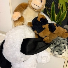 各種ぬいぐるみの画像