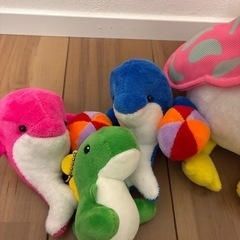 ぬいぐるみの画像