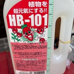 HB101 　の画像