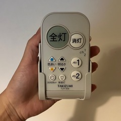 電気2個セット（リモコンあり）の画像