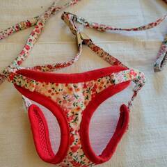 犬のハーネス＆リードのセット・超小型犬用の画像