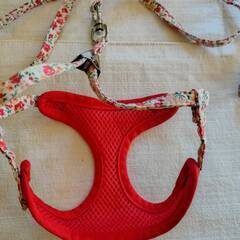 犬のハーネス＆リードのセット・超小型犬用の画像