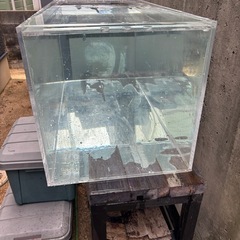 アクリル水槽　1200×450×450の画像