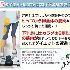 エアロライフ　ステッパーの画像