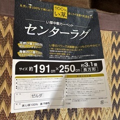 新品いぐさカーペットの画像