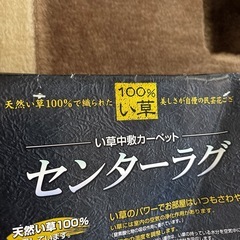 新品いぐさカーペットの画像