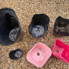 ポリポット 16個の画像