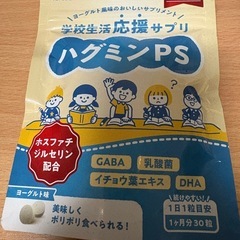 ハグミンPSの画像