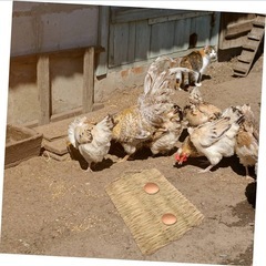 鶏の巣マット 草クッション 鶏用巣箱パッド 40cm×28cm 小動物用寝床 ハムスター ウサギ チンチラ向け 屋内ケージ用通気性パッドの画像