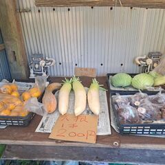 とれたて野菜　椎茸、柚子、大根、キャベツ　無人販売の画像