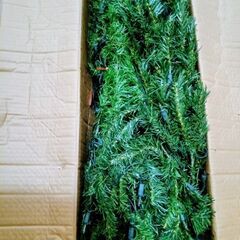 差し上げます　クリスマスツリー　約180cm　ライト付きの画像