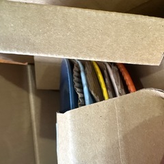 金麦　花やか皿　10まいの画像