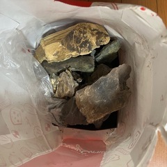 流木セットの画像