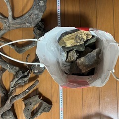 流木セットの画像