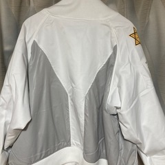 TEROMELIA ジャケットの画像