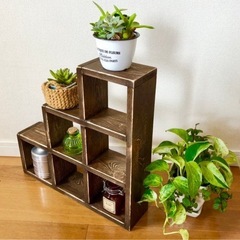 【無料】階段式シェルフの画像