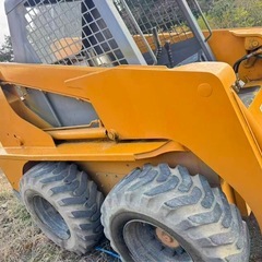 ボブキャットの画像