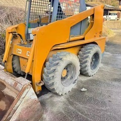 ボブキャットの画像