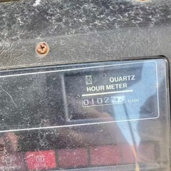 ボブキャットの画像