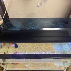 60センチ水槽セットです。の画像