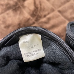 スキーグローブ　ジュニアLの画像