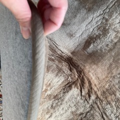 こたつ敷き
の画像