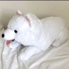 ぬいぐるみ　サモエドの画像
