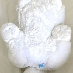 ぬいぐるみ　サモエドの画像