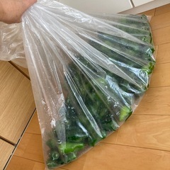 規格外
ピーマンの画像