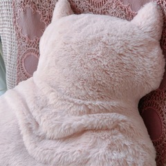 ★04.ぬいぐるみ　ネコ型クッションの画像
