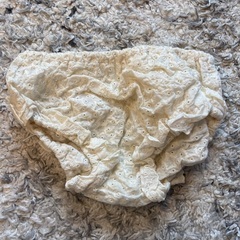 スリーパー　おくるみ　aden+anais おまけ付の画像