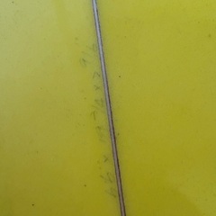 サーフボードの画像