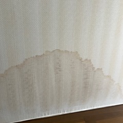 フランスベッド 大きいの画像