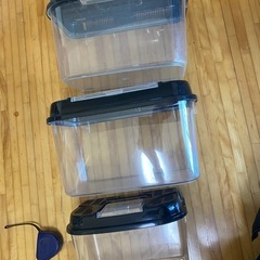 飼育ケース　３つの画像