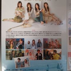 DVD　東京フレンズ　ドラマと映画全巻の画像