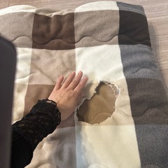 ニトリのこたつふとん （難あり）の画像