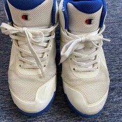 チャンピオン　バスケットシューズの画像