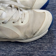 チャンピオン　バスケットシューズの画像