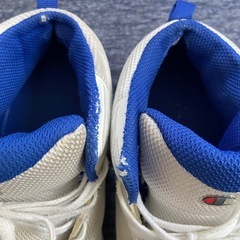 チャンピオン　バスケットシューズの画像