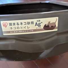 猫トイレ　大きめの画像