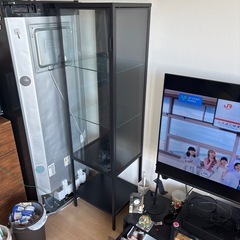 ショーケースの画像