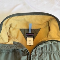  patagonia Shelled Micro D-Luxe MARSカラー パタゴニアの画像