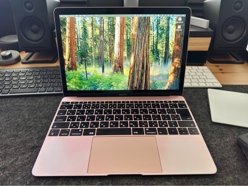 MacBook (Retina, 12-inch, 2017)