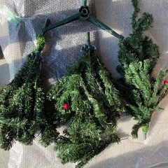 クリスマスツリーの画像