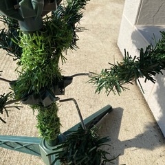 クリスマスツリーの画像