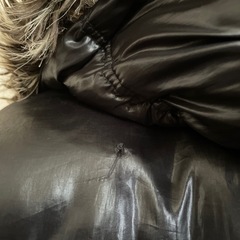 コンバース　ジャンバー　Mの画像